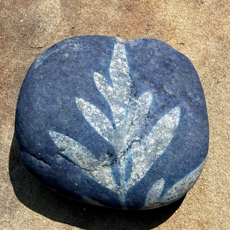 Bonus 2: a smooth gray rock with a pale fern silhouette printed on it in cyanotype blue
