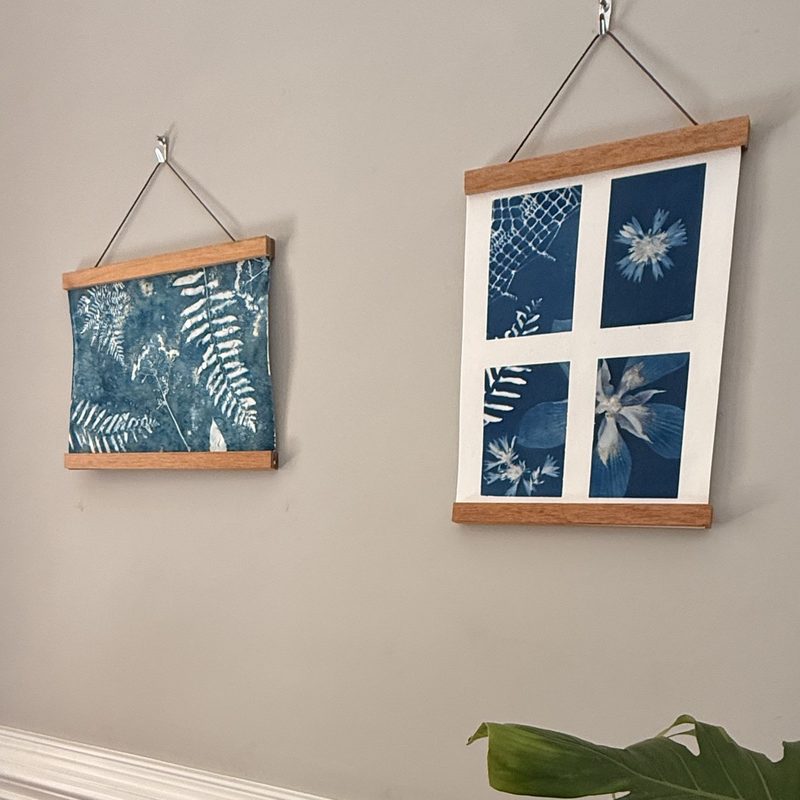Module 5: two finished cyanotype prints hanging on the wall in wooden magnetic frames, a ferns print and a four-square grid print, with a monstera leaf below